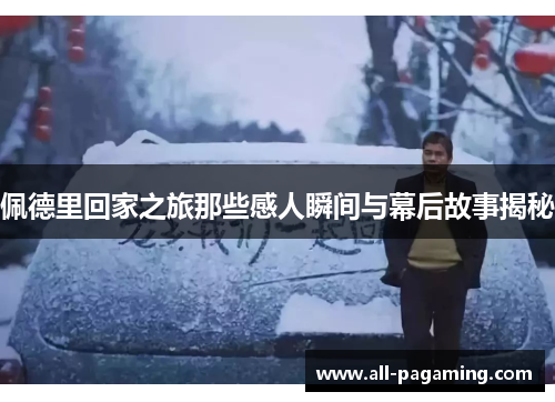 佩德里回家之旅那些感人瞬间与幕后故事揭秘 佩德里回家之旅那些感人瞬间与幕后故事揭秘