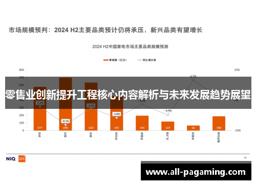 零售业创新提升工程核心内容解析与未来发展趋势展望