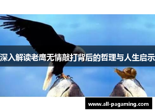 深入解读老鹰无情敲打背后的哲理与人生启示