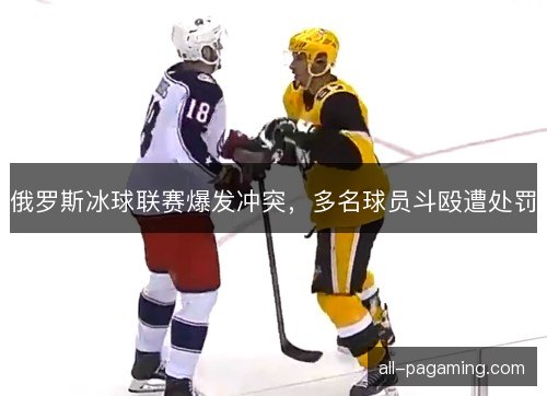 俄罗斯冰球联赛爆发冲突，多名球员斗殴遭处罚